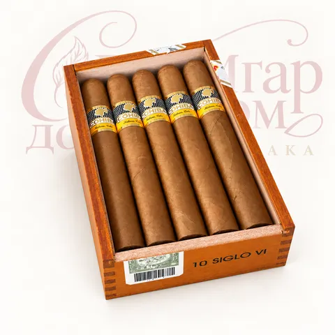 Siglo VI