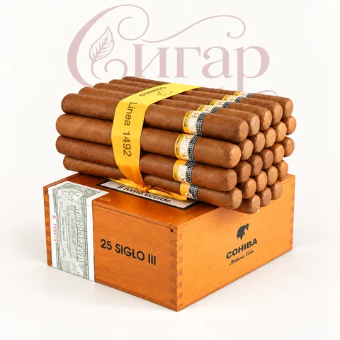 Siglo III